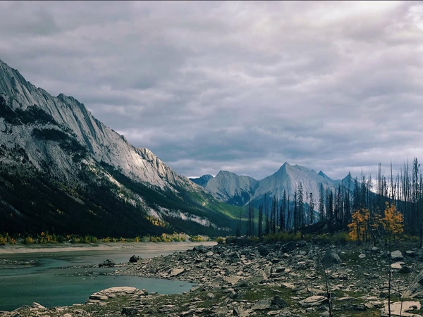 Edges of a blue lake on a rocky valley bed, surrounded by mountains with sheer cliffs. In the foreground, the dark spikes of evergreen trees which have gone through a forest fire.